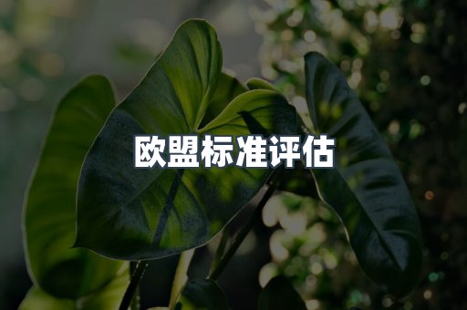 欧盟标准评估