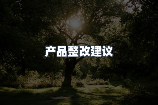 产品整改建议