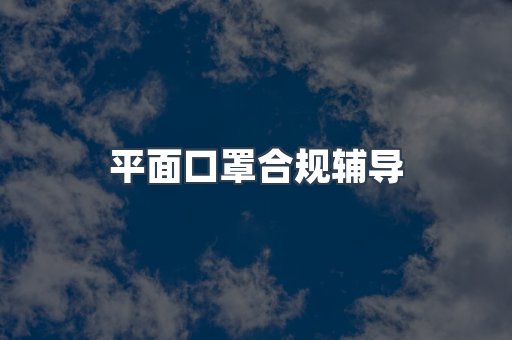 平面口罩合规辅导